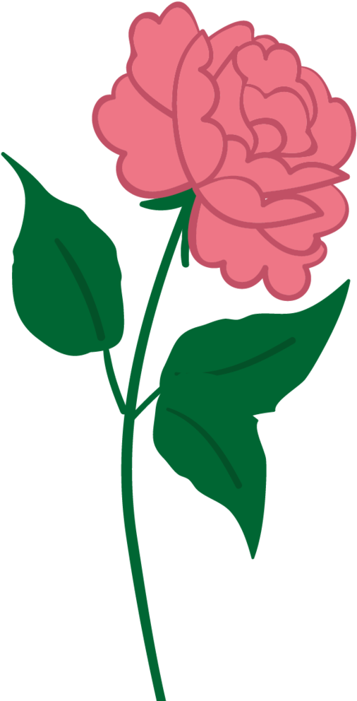 Glow' Rose Absolute Organic Luxury Face & Body Lotion - Rose (1024x1024)