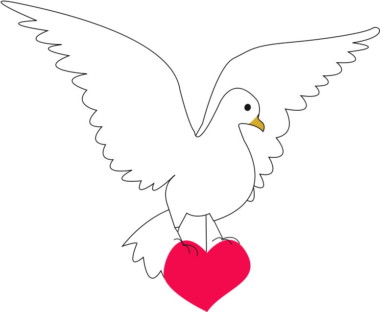 Love Clip Art Download - Paloma Con Corazon (800x660)