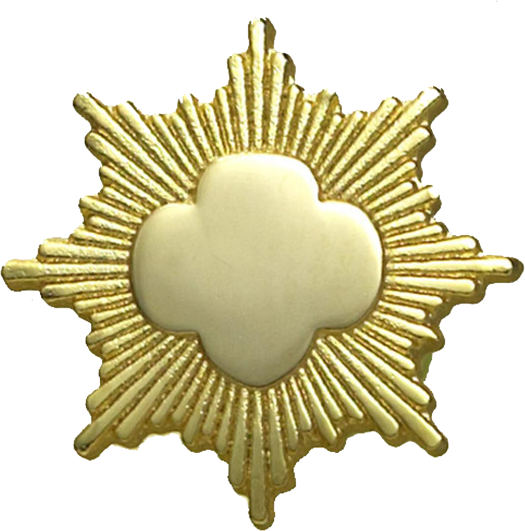 Gold Award Gold Award Pin - Girl Scout Gold Award (1080x1080)