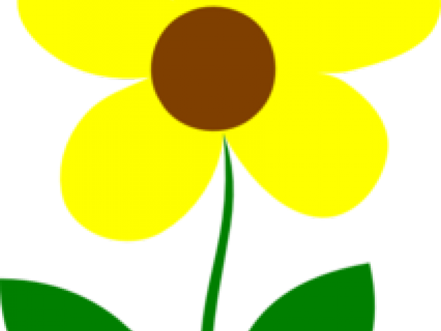 Yellow Flower Clipart Stem Clipart - Circle (640x480)