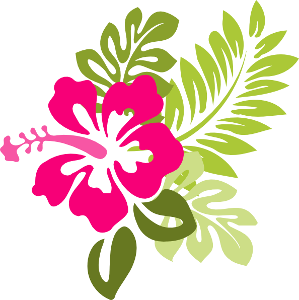 Neds Summer Luau Play Party 24 August - Hibiscus Clip Art (594x596)