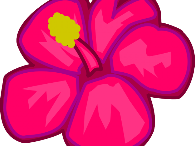 Pink Flower Clipart Flowering - Draw A Tropical Flower (640x480)