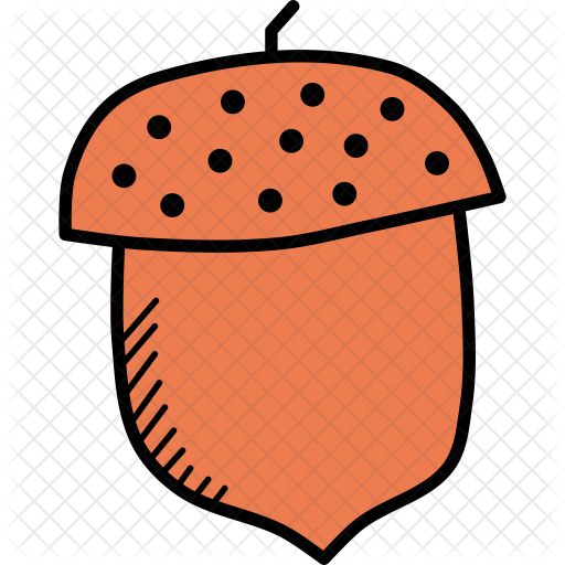 Acorn Icon - Acorn Icon (512x512)