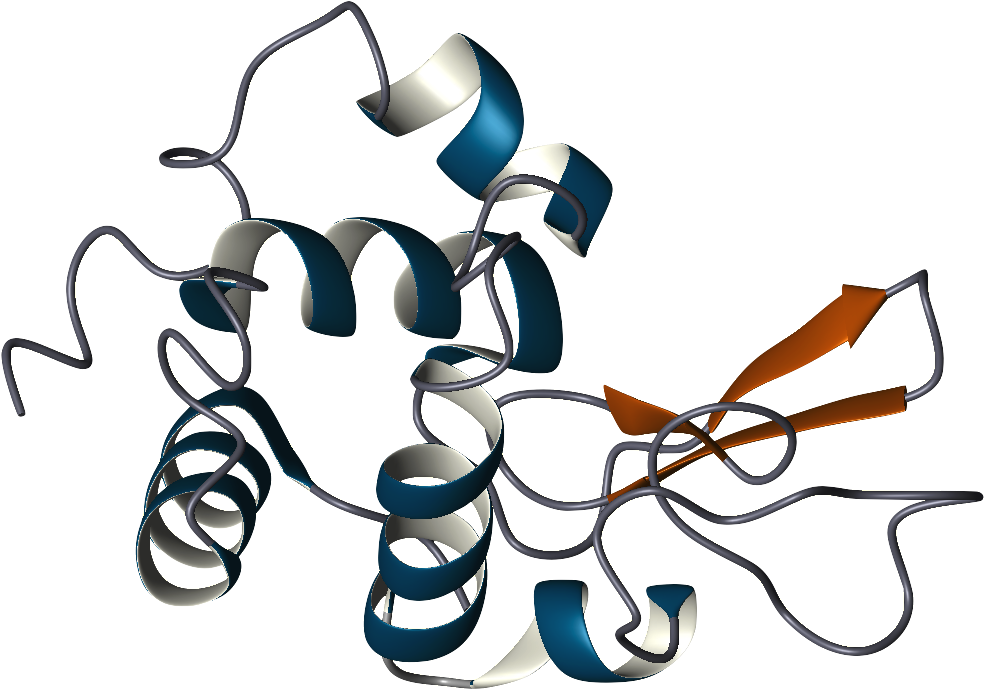 Tears Clipart Saliva - Lysozyme (1025x729)