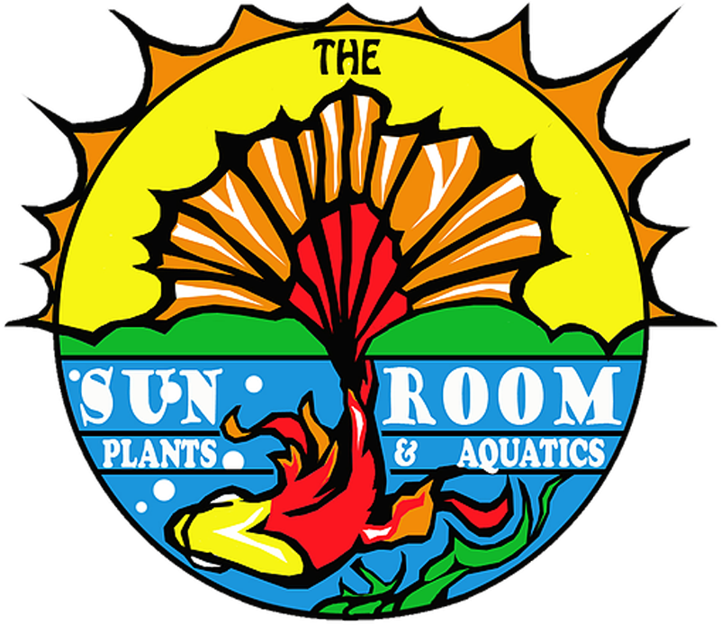 The Sunroom Plants And Aquatics - Sunroom (800x726)