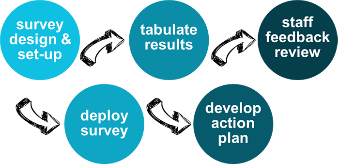 Employee Engagement Survey Pricing Toronto - Employee Engagement Process Flow (700x338)
