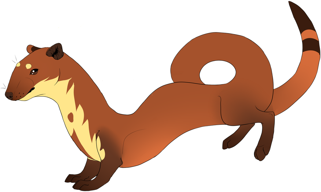Design And Art By Akumanoaka - Eurasian Red Squirrel (1100x672)