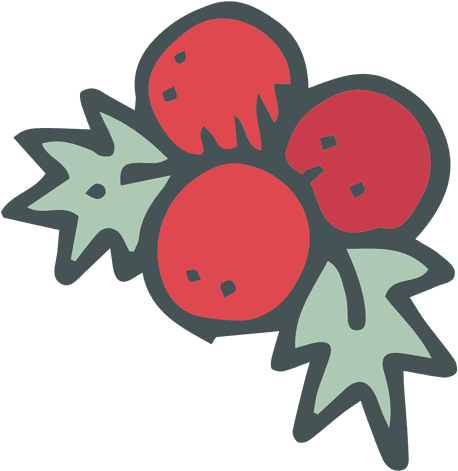 Mistletoe Hand Drawn Cartoon Icon 3 Transparent Png - Drawing (512x512)