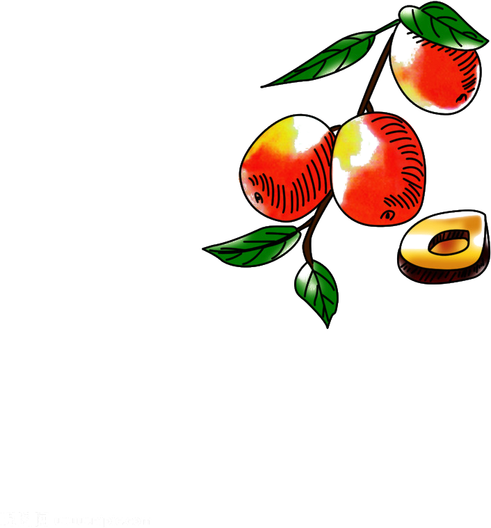 Jujube Fruit Date Palm - Jujube (918x1024)