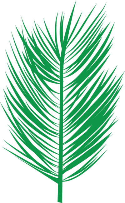 Black Palm Leaf Indoor/outdoor Cushion (400x650)