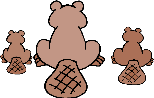Paw Clipart Beaver - Canadian Beaver Throw Blanket (613x394)