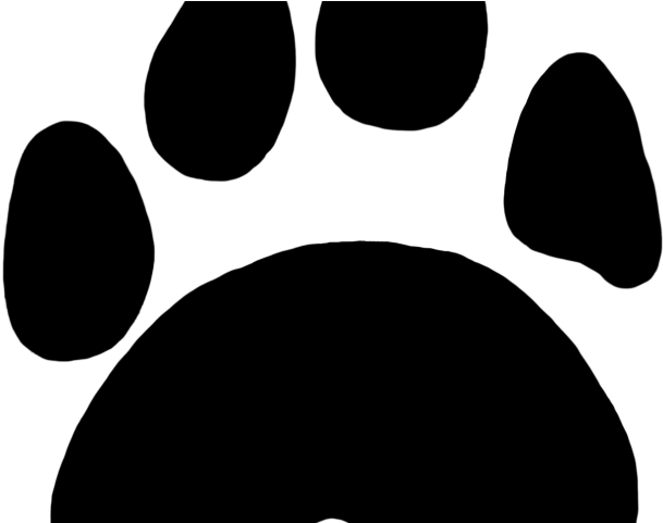 Paw Clipart Translucent - Tiger (640x480)