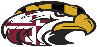 Baltimore Hawks Logo (489x246)