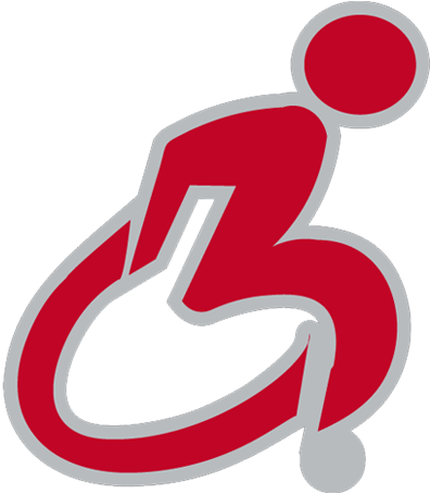 The Wheelchair Guy - Leones Del Caracas (500x500)