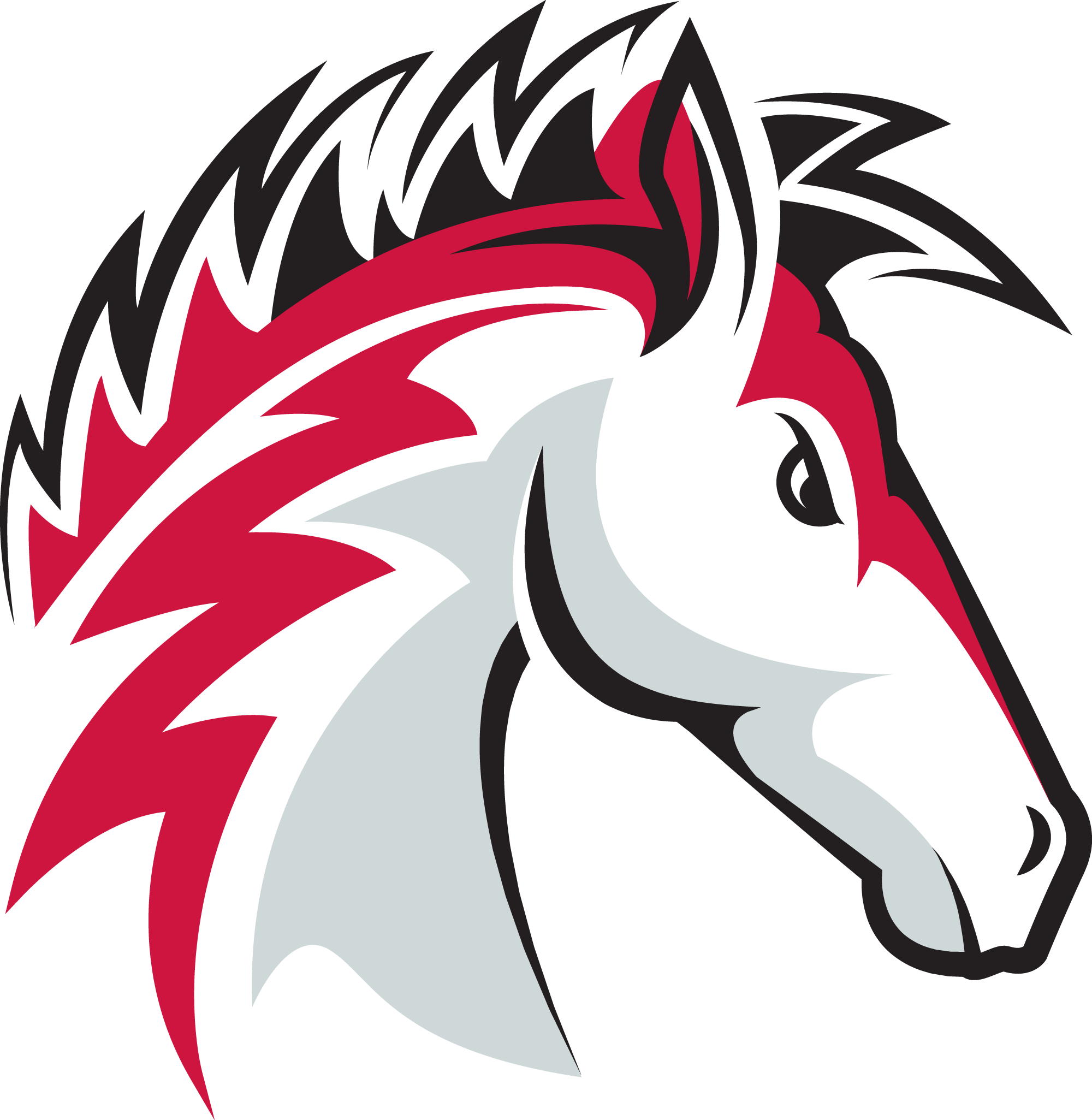 The Dysart Unified School District - Cimarron Springs Elementary School (2000x2051)