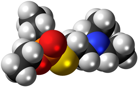 File To Be Shared As A View Only File With Disabled - Molecule (498x328)