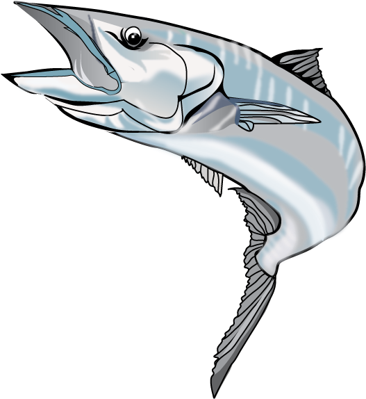 Atlantic Blue Marlin (566x589)