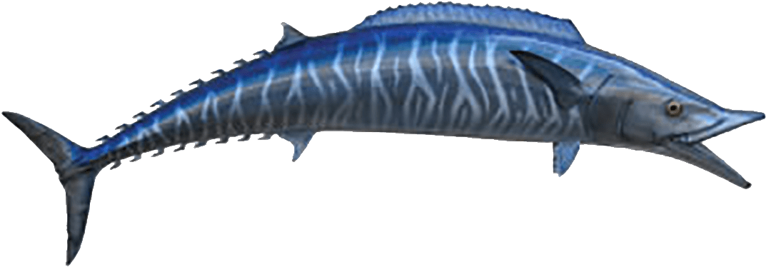 Wahoo - Decal (1080x720)