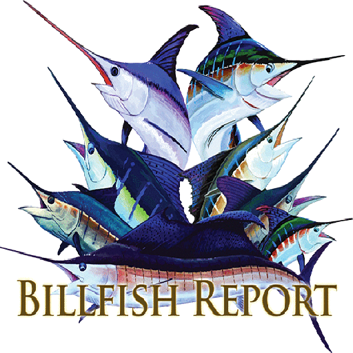 Atlantic Blue Marlin (512x512)