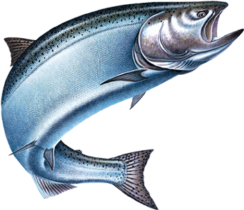 Rivers Edge Products Salmon Night Light (378x375)