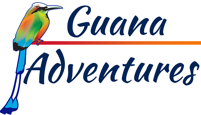 Recreational Fishing (795x454)