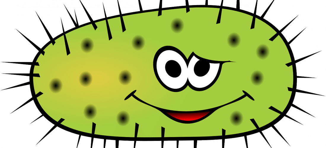 Oregano And Melaleuca Oils Fight Bacteria - E Coli Bacteria Cartoon (1100x500)