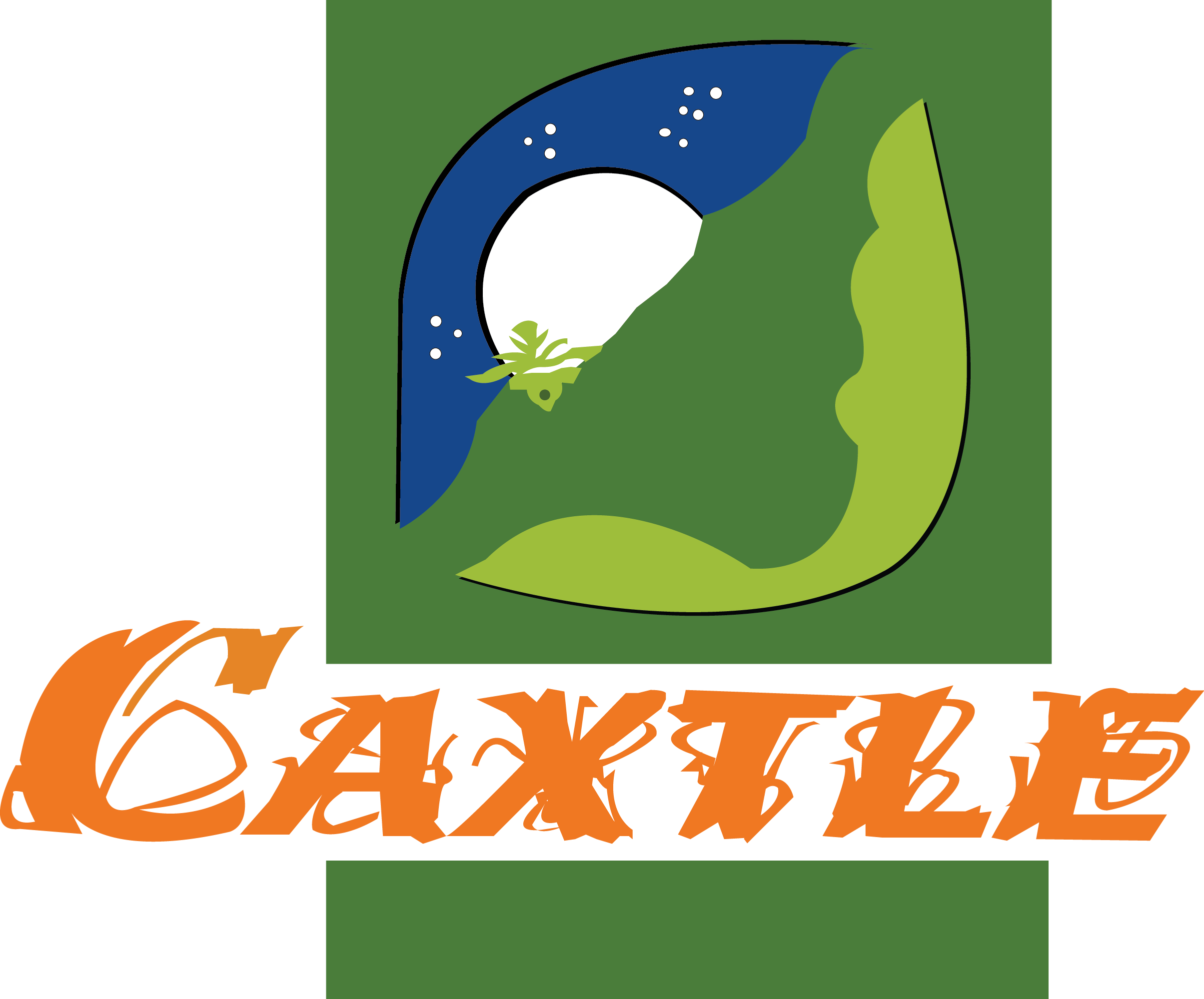 Comunidades Organizadas De La Sierra De Hidalgo - Organization (2409x1999)