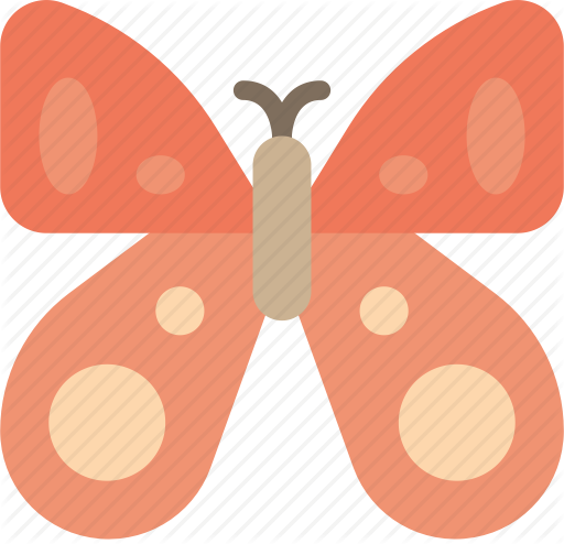 Bug Images Pixabay Download Free Pictures - Butterfly (1024x1024)