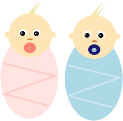 Twins Born - Babies Clipart (487x480)