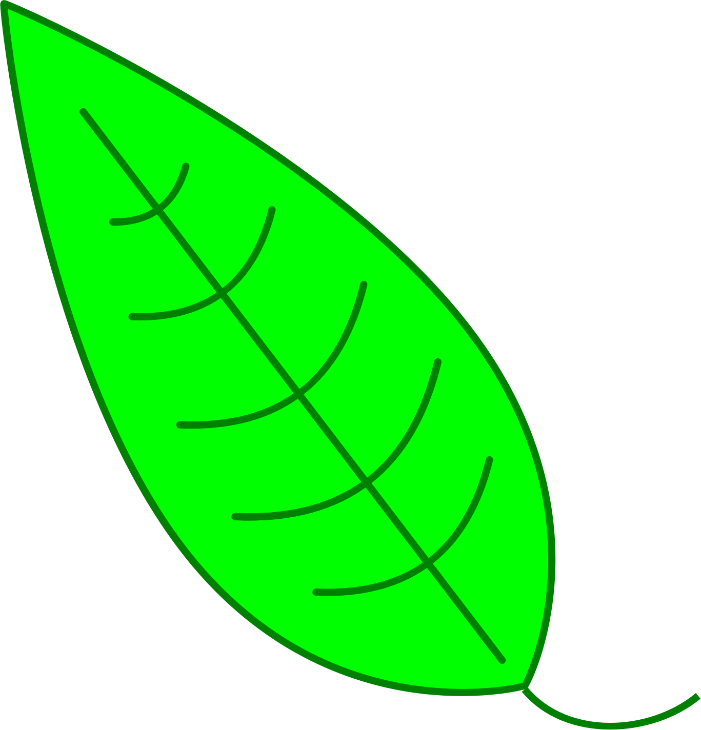 Green Simple Leaf - Hojas De Arbol Verde (1367x1424)