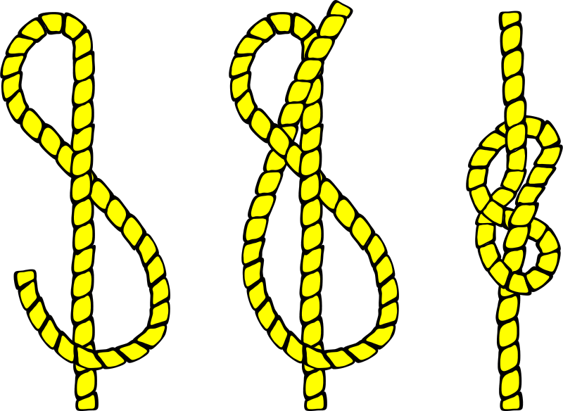 Knot Illustration - Clipart - Figure 8 Knot (800x586)