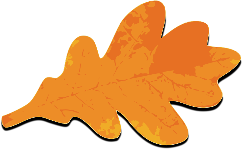 Fall Leafs Orange Png Images - Fall Oak Leaf Clipart (800x490)