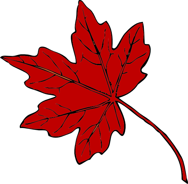 Red Maple Leaf Clip Art At Clker - Maple Holistics Sage Shampoo For Anti Dandruff (600x585)