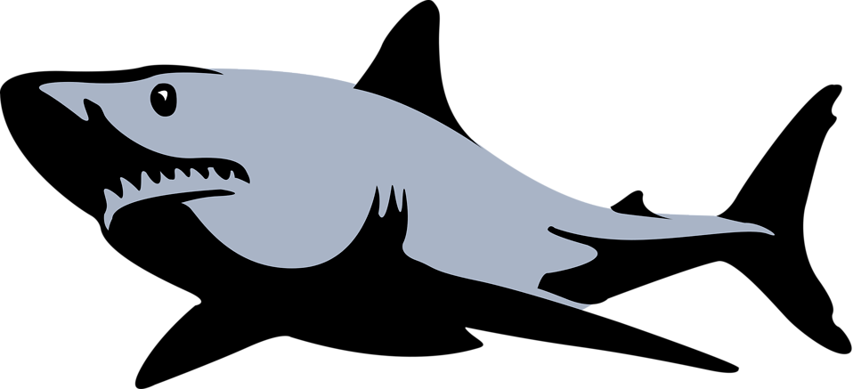 Sniffing The Internet Of Things With Wireshark, Sensniff, - Shark Vector (958x437)