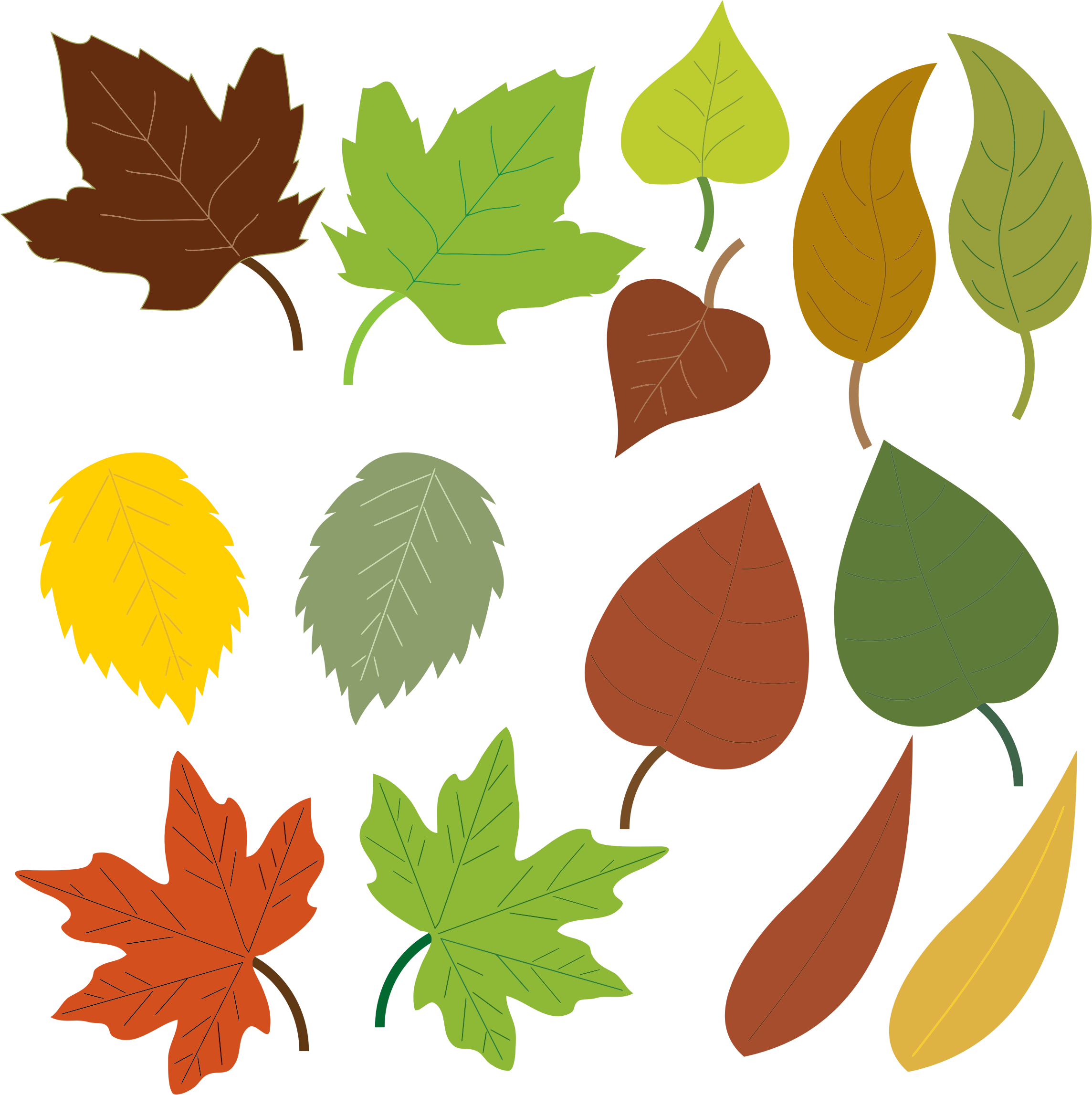 Leaf Clip Art Images - Formas De Hojas De Arboles (2288x2294)