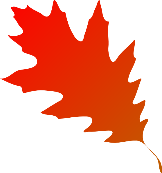 Autumn Leaf Clip Art (558x597)
