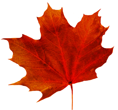 Fall Leaves Clip Art - Fall Leaf With Transparent Background (413x383)