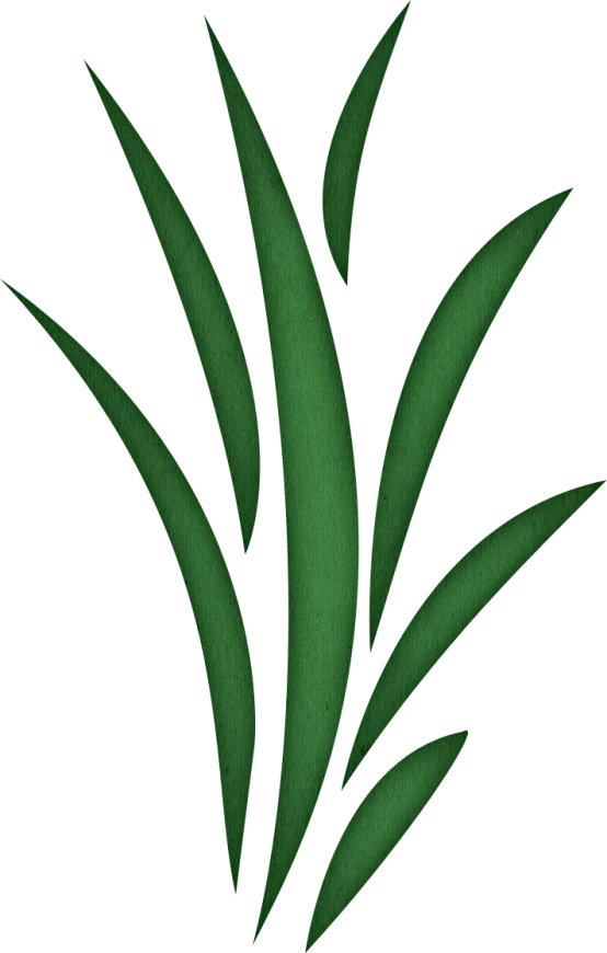 Seaweed Free Grass Clipart Clip Art Library - Grass Blade Clip Art (554x870)