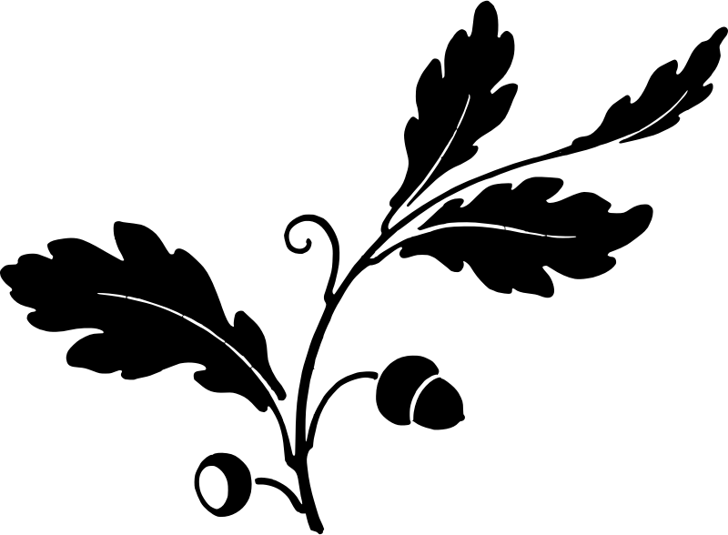 Medium Image - Oak Leaf Silhouette (800x588)