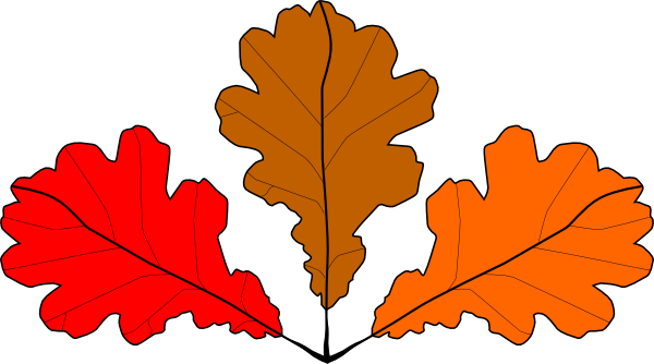 Showing Post & Media For Red Maple Tree Cartoon - Imagini Din Frunze De Toamna (600x334)