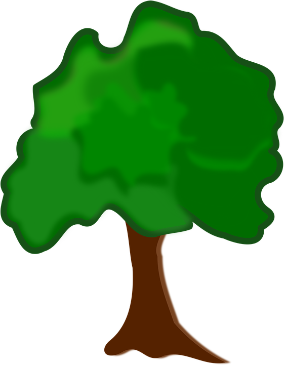 Clip Art Flora Nature Plant Tree - Arvore Clipart (750x750)