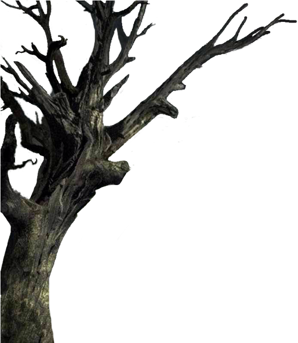Isolated The Tree - Transparent Spooky Tree (1100x687)
