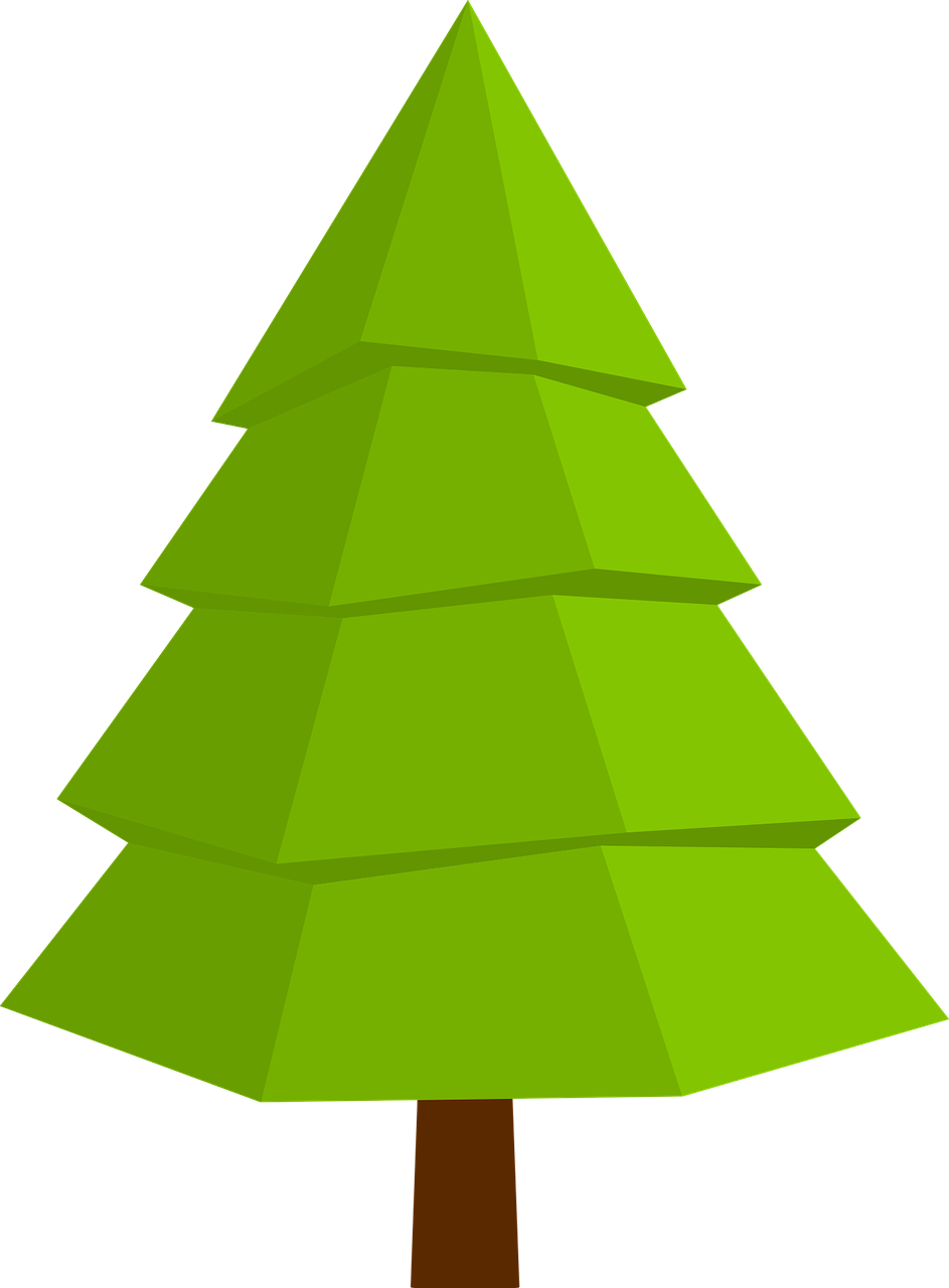 Fir Christmas Tree Tree Christmas Icon - Christmas Day (943x1280)