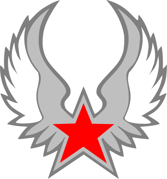 Star With Wings Icon Png (558x598)