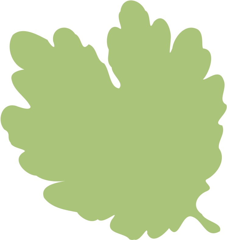 Free Butterfly On A Leaf Free Leaf 06 - Leafshape Png (800x800)