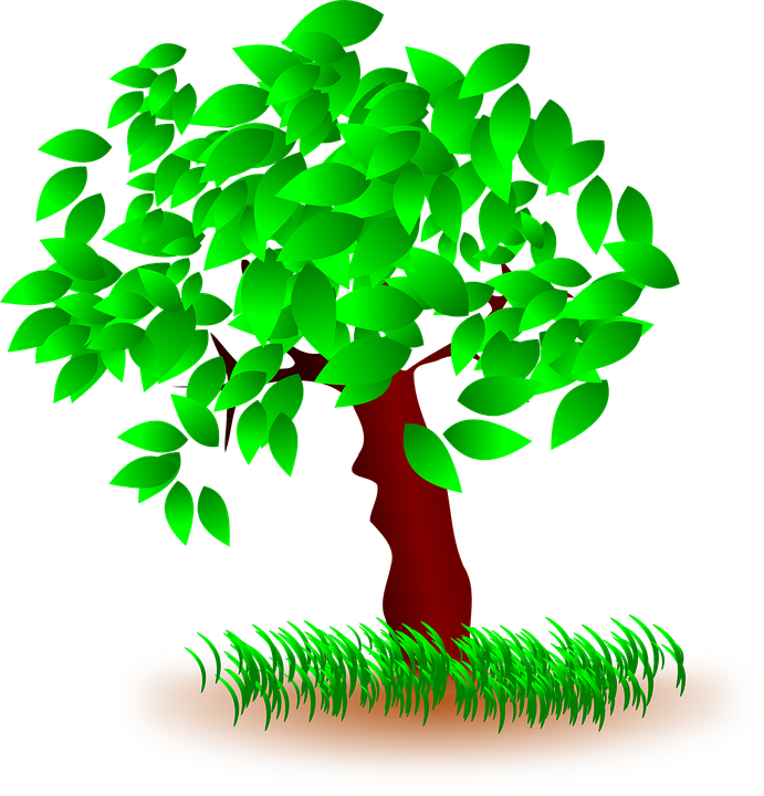 Tree Clipart Grass - Grass And Tree Clipart (691x720)