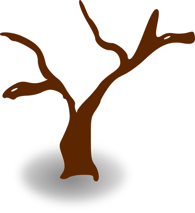 Cliparts Stick Tree - Tree Clip Art (659x720)