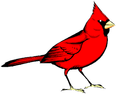 Cardinal - Red Bird (400x325)