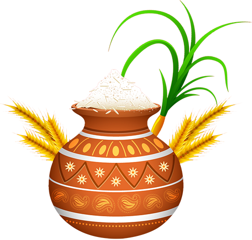 Pongal Festival Png (500x476)