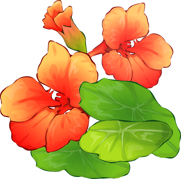 Summer Clip Art - Free Summer Flowers Clipart (600x595)